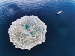 <strong>一个想法在脑海跃然而出</strong>